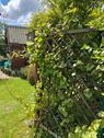 Foto - Schrebergarten - 3.500,00&nbsp;EUR Kaltmiete, ca.&nbsp; 0,00&nbsp;m&sup2;