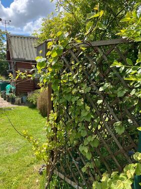 Foto - Schrebergarten - 3.500,00&nbsp;EUR Kaltmiete, ca.&nbsp; 0,00&nbsp;m&sup2;
