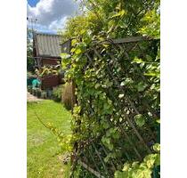 Schrebergarten - 3.500,00&nbsp;EUR Kaltmiete, ca.&nbsp; 0,00&nbsp;m&sup2; in Wilster (PLZ: 25554)