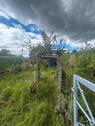 Foto - Süßer kleiner Kleingarten - 1.000,00&nbsp;EUR Kaltmiete, ca.&nbsp; 0,00&nbsp;m&sup2;