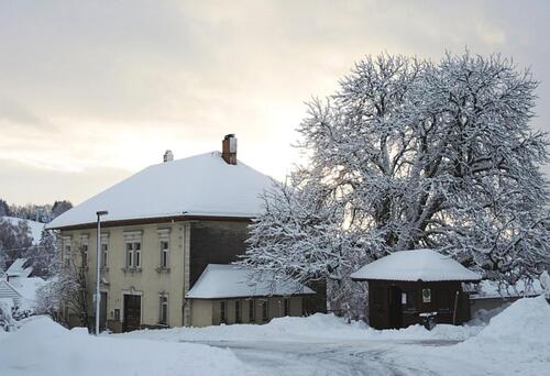 Foto - Einfamilienhaus zum Kaufen in Herrischried