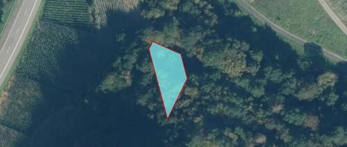 Foto - Waldfläche in Niederemmel (HLO 123)