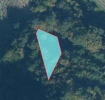 Waldfläche in Niederemmel (HLO 123) - Piesport