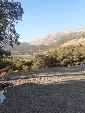 Foto - andere in Brande-Hörnerkirchen zur Miete