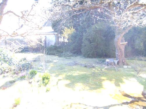 Foto - 2 Zimmer Einfamilienhaus in Hohen Neuendorf