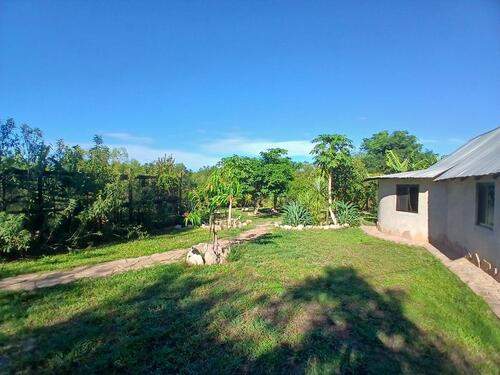 Foto - Einfamilienhaus in Ratzeburg