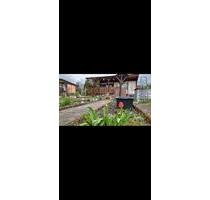 Garten abzugeben - 1.600,00&nbsp;EUR Kaltmiete, ca.&nbsp; 0,00&nbsp;m&sup2; in Lauta (PLZ: 02991)