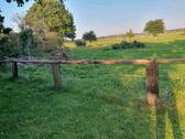 Foto - Einfamilienhaus in Weddingstedt zum Kaufen