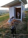 Foto - 
