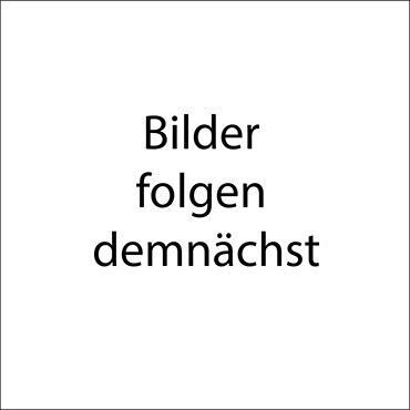 Foto - Neu renovierte 3 Zimmer-Wohnung mit Garten, Keller und Garage