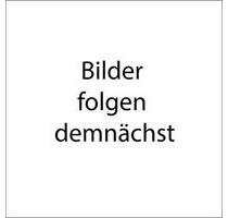 Neu renovierte 3 Zimmer-Wohnung mit Garten, Keller und Garage - Satteldorf