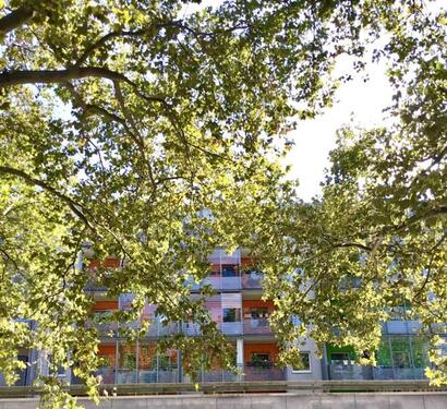 Foto - Hauptsache Hauptstraße! - Zentrumsnah in Dresden!