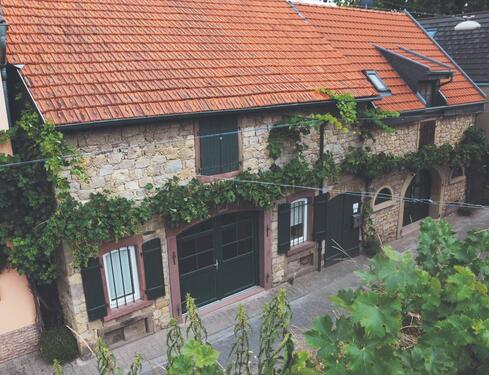 Foto - Urlaub in Rheinhessen. Mediterranes Ferienhaus von privat