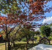 Pacht Garten - 700,00&nbsp;EUR Kaltmiete, ca.&nbsp; 0,00&nbsp;m&sup2; in Chemnitz (PLZ: 09119) Kapellenberg