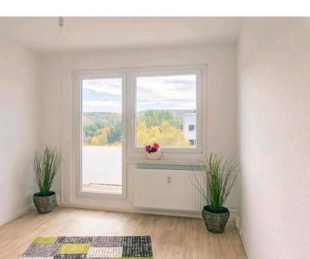 Foto - 1-Raumwohnung,ruhige Lage,separate Küche u.Bad