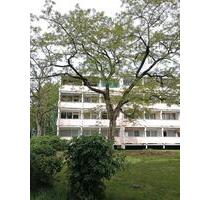 3-Raum Wohnung in Frankfurt - Nied - Frankfurt am Main