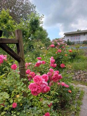 Foto - Einmaliger Garten mit Privatsphäre und Ausblick