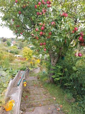 Foto - Grundst&uuml;ck zur Miete in Schwerin