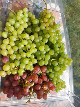 Foto - Grundst&uuml;ck in Schwerin