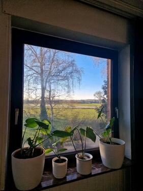 Foto - 4 Zimmer Wohnung in Adelheide Delmenhorst