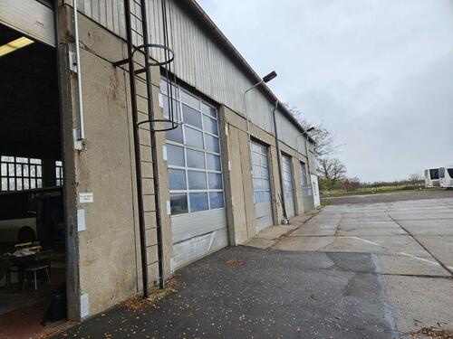 Foto - andere zur Miete in Wittenberg Lutherstadt