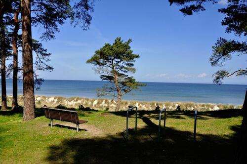 Foto - ***AB SOFORT, FERIENHAUS AN DER OSTSEE, BARRIEREFREI, MIT HUND***
