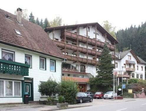Foto - 1-Zimmer-Wohnung mit Küche zu vermieten – 300 € warm