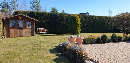 Foto - 5 Zimmer Einfamilienhaus in Bad Schmiedeberg