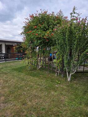 Foto - Grundstück zur Miete in Leipzig