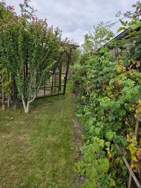 Foto - Grundstück in Leipzig