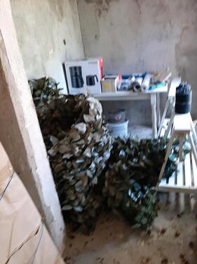 Foto - Grundstück in Zinnowitz zur Miete