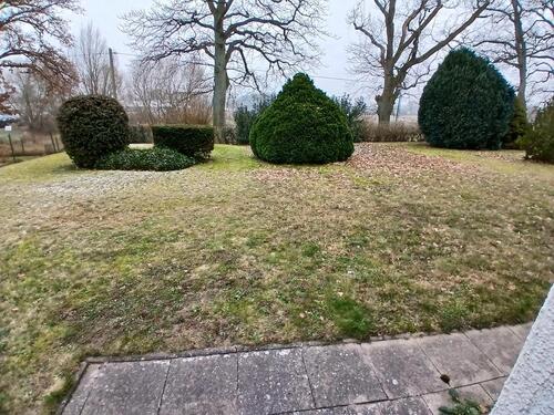 Foto - 3 Zimmer Erdgeschoßwohnung in Lützow