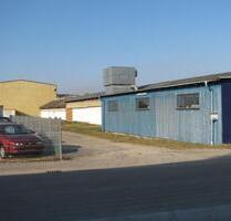 Ebenerdige Lagerhalle in Staufen-Grunern - Pfaffenweiler