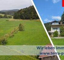 ZUR MIETE: 2-ZIMMER-DACHGESCHOSSWOHNUNG MIT EINBAUKÜCHE UND 2-PKW-STELLPLÄTZE SOWIE EIN BALKON - Auerbach