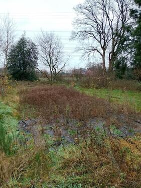 Foto - Haus mit Grundstück 1704 m² - 300.000,00&nbsp;EUR Kaufpreis, ca.&nbsp; 143,00&nbsp;m&sup2;