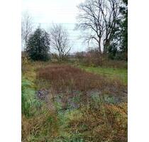 Haus mit Grundstück 1704 m² - 300.000,00&nbsp;EUR Kaufpreis, ca.&nbsp; 143,00&nbsp;m&sup2; in Lingen (Ems) (PLZ: 49811) Gauerbach