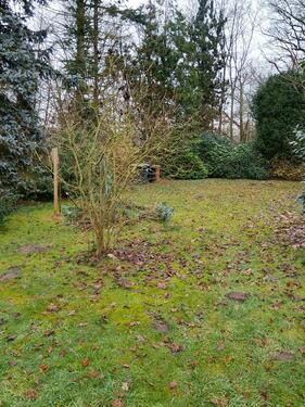 Foto - 5 Zimmer Einfamilienhaus zum Kaufen in Lingen (Ems)