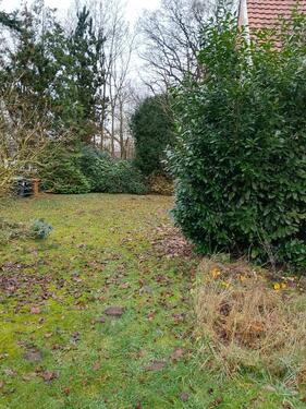 Foto - 5 Zimmer Einfamilienhaus in Lingen (Ems)