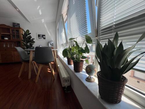 Foto - möbliertes Business Apartment MA-Neckarau 