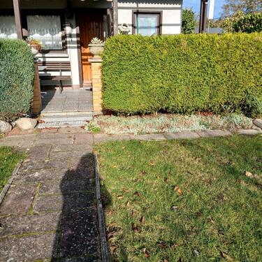 Foto - Garten KGV Rostocker Greif Südstadt