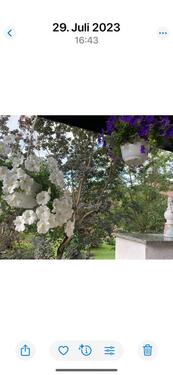 Foto - 4 Zimmer Einfamilienhaus zum Kaufen in Hennigsdorf