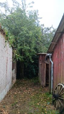 Foto - Einfamilienhaus in Bärnau