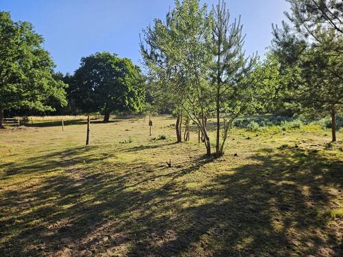 Foto - Grundstück in Ludwigslust zur Miete