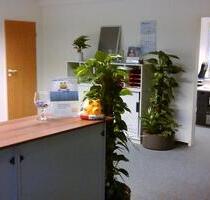 Büroräume in Celle für Nachvermietung