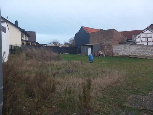 Foto - Einfamilienhaus zum Kaufen in Zülpich