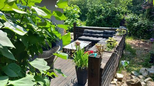 Foto - Mehrfamilienhaus, Wohnhaus in Schwarzenbach am Wald zum Kaufen