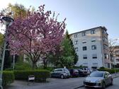 Foto - 3 Zimmer Etagenwohnung zum Kaufen in Berlin
