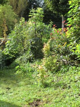 Foto - Pflegeleichte, barrierefreie, ruhige 2,5 Z-Whg EG