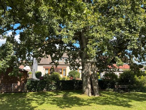 Foto - 8 Zimmer Einfamilienhaus in Altdorf bei Nürnberg