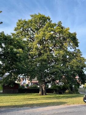 Foto - Einfamilienhaus in Altdorf bei Nürnberg zum Kaufen